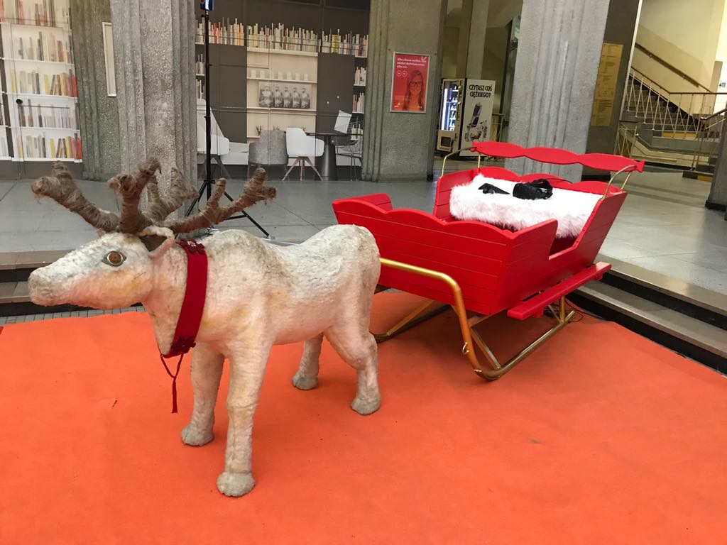 Sanie Mikołaja na event