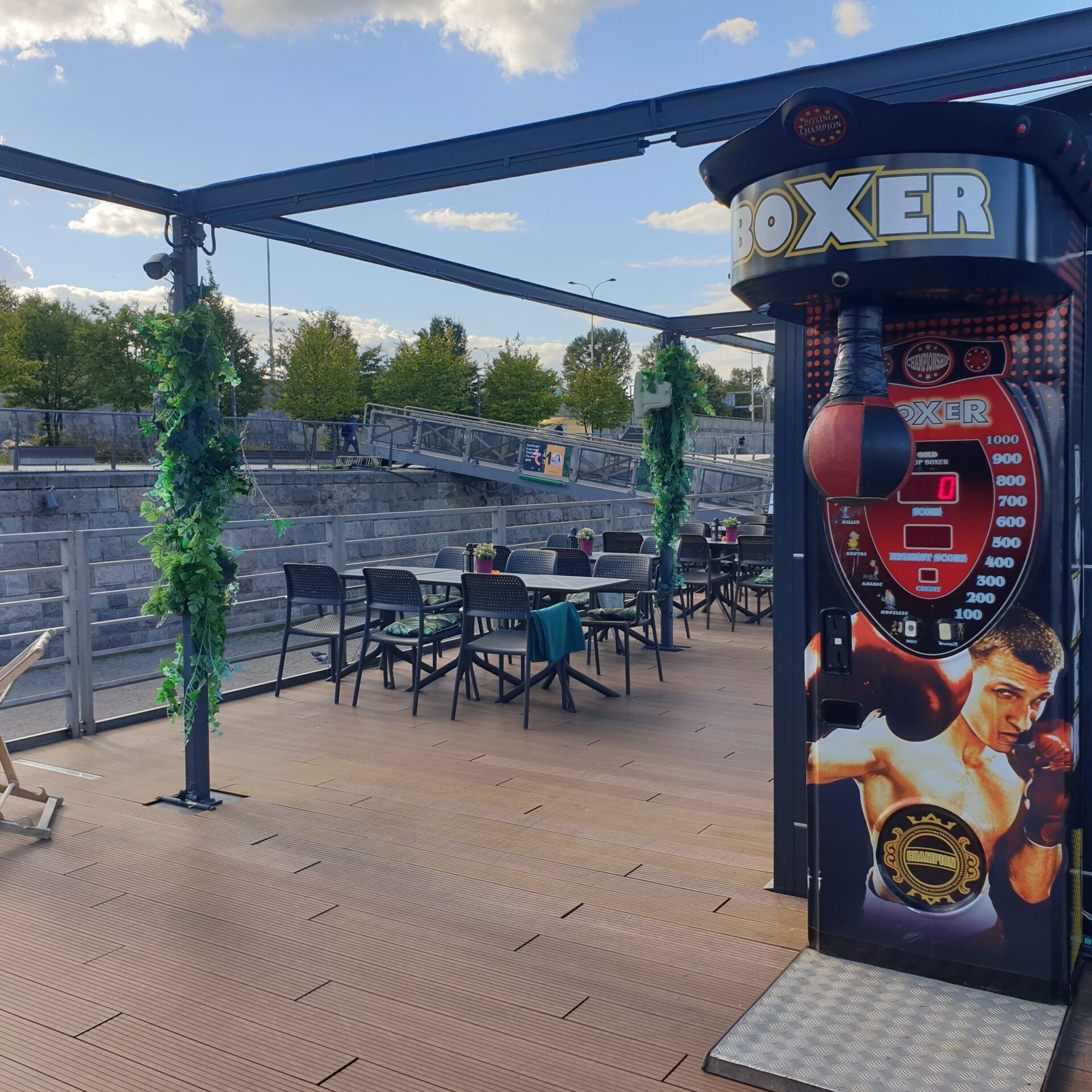 Siłomierz boxer do wynajęcia