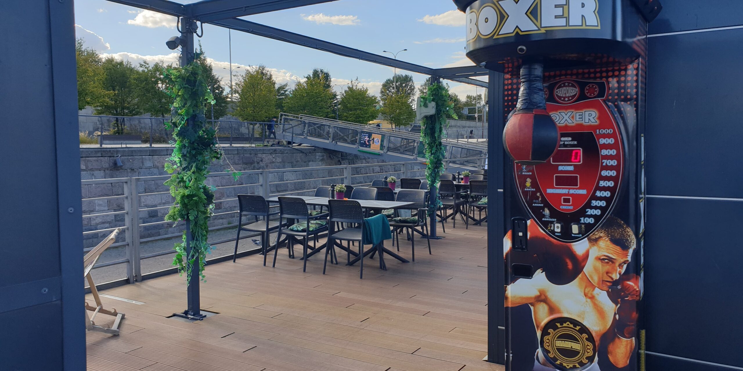 Siłomierz boxer do wynajęcia